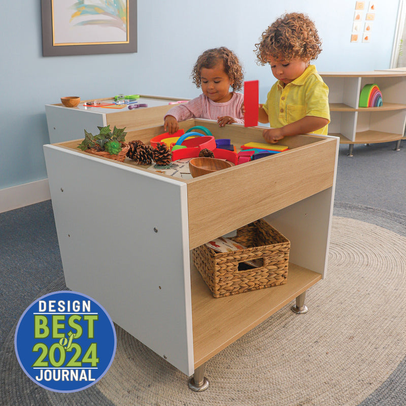 Whitney Brothers Elevated Discovery Table
