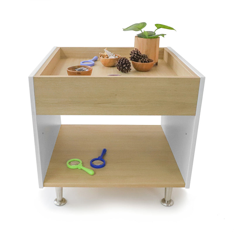 Whitney Brothers Elevated Discovery Table
