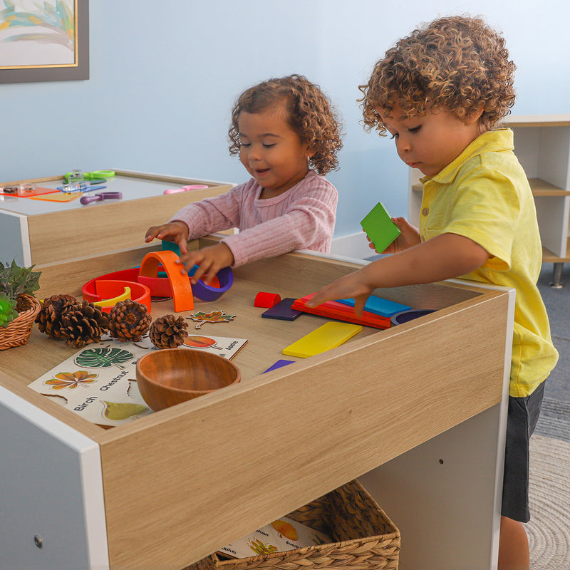 Whitney Brothers Elevated Discovery Table