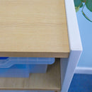 Whitney Brothers Elevated 12 Tray Mobile Cabinet