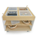 Whitney Brothers Elevated Mobile Sensory Table