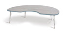 Berries Kidney Activity Table - 48" X 72", E-height - Driftwood Gray/Coastal Blue/Gray
