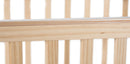 Foundations Next Gen Serenity SafeReach Compact Clearview Crib - Natural