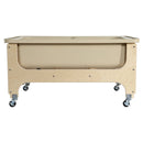 Wood Designs Tot Size Deluxe Sand and Water Table with Lid